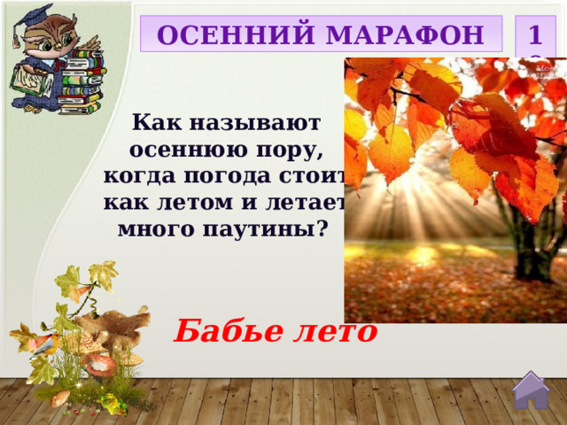 ОСЕННИЙ МАРАФОН 10 Как называют осеннюю пору, когда погода стоит как летом и летает много паутины? Бабье лето  