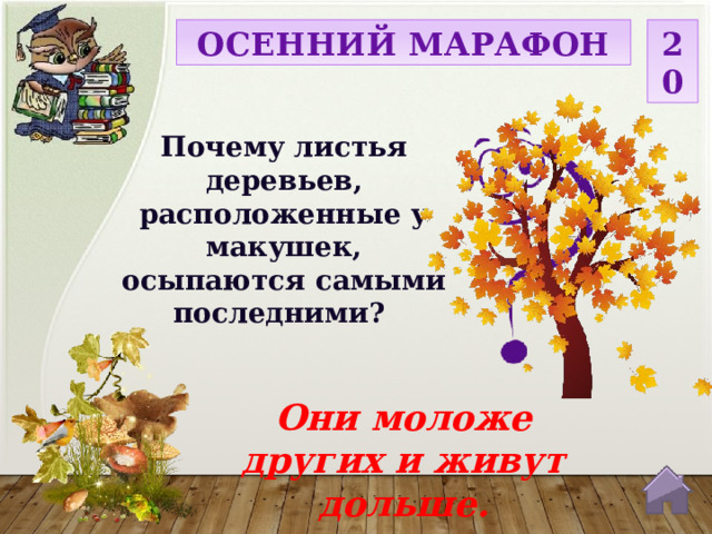 ОСЕННИЙ МАРАФОН 20 Почему листья деревьев, расположенные у макушек, осыпаются самыми последними? Они моложе других и живут дольше.  
