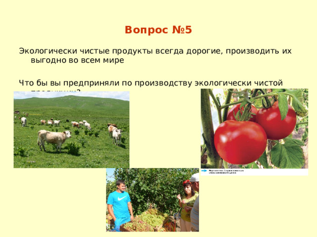 Вопрос №5 Экологически чистые продукты всегда дорогие, производить их выгодно во всем мире Что бы вы предприняли по производству экологически чистой продукции? 