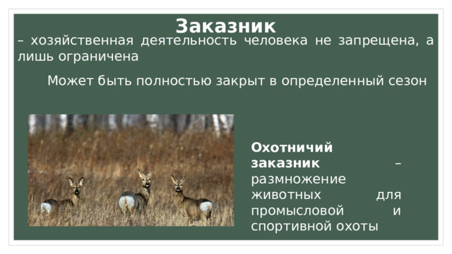 Заказник – хозяйственная деятельность человека не запрещена, а лишь ограничена Может быть полностью закрыт в определенный сезон Охотничий заказник – размножение животных для промысловой и спортивной охоты  