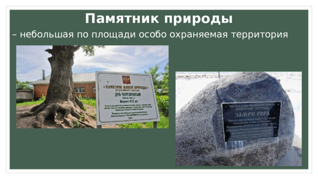 Памятник природы – небольшая по площади особо охраняемая территория  