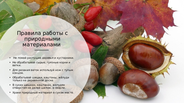 Правила работы с природными материалами    Не ломай растущие деревья и кустарники. Не обрабатывай сырые, грязные корни и ветки. Для резания веток используй нож с тупым концом. Обрабатывай шишки, каштаны, жёлуди только на деревянной доске. В сухих шишках, каштанах, желудях отверстия не делай шилом, а сверли. Храни природный материал в сухом месте. 