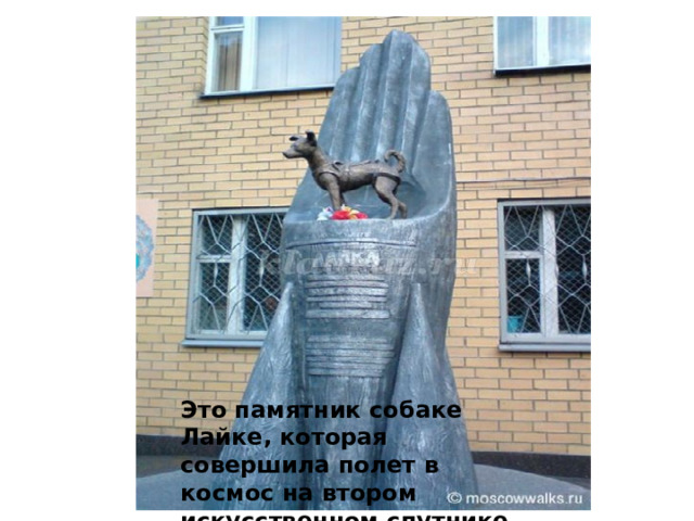 Это памятник собаке Лайке, которая совершила полет в космос на втором искусственном спутнике 3 ноября 1957 года.   