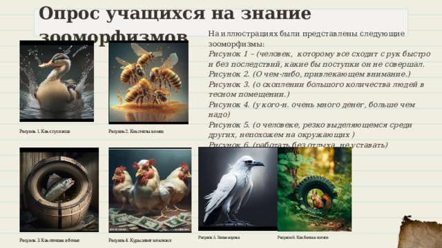 Опрос учащихся на знание зооморфизмов На иллюстрациях были представлены следующие зооморфизмы: Рисунок 1 – (человек, которому все сходит с рук быстро и без последствий, какие бы поступки он не совершал. Рисунок 2. (О чем-либо, привлекающем внимание.) Рисунок 3. (о скоплении большого количества людей в тесном помещении.) Рисунок 4. (у кого-н. очень много денег, больше чем надо) Рисунок 5. (о человеке, резко выделяющемся среди других, непохожем на окружающих ) Рисунок 6. (работать без отдыха, не уставать) 
