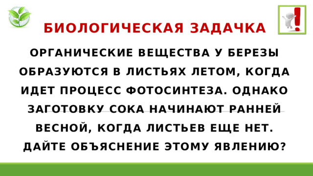 БИОЛОГИЧЕСКАЯ ЗАДАЧКА ОРГАНИЧЕСКИЕ ВЕЩЕСТВА У БЕРЕЗЫ ОБРАЗУЮТСЯ В ЛИСТЬЯХ ЛЕТОМ, КОГДА ИДЕТ ПРОЦЕСС ФОТОСИНТЕЗА. ОДНАКО ЗАГОТОВКУ СОКА НАЧИНАЮТ РАННЕЙ ВЕСНОЙ, КОГДА ЛИСТЬЕВ ЕЩЕ НЕТ. ДАЙТЕ ОБЪЯСНЕНИЕ ЭТОМУ ЯВЛЕНИЮ? 