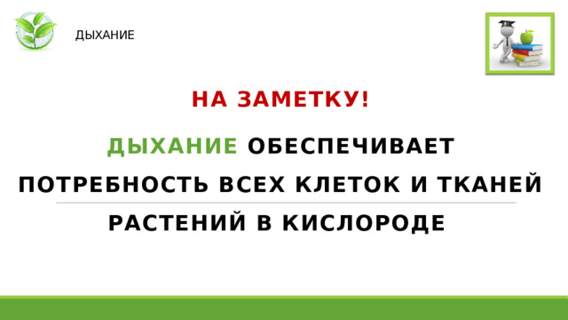   ДЫХАНИЕ НА ЗАМЕТКУ! ДЫХАНИЕ ОБЕСПЕЧИВАЕТ ПОТРЕБНОСТЬ ВСЕХ КЛЕТОК И ТКАНЕЙ РАСТЕНИЙ В КИСЛОРОДЕ   