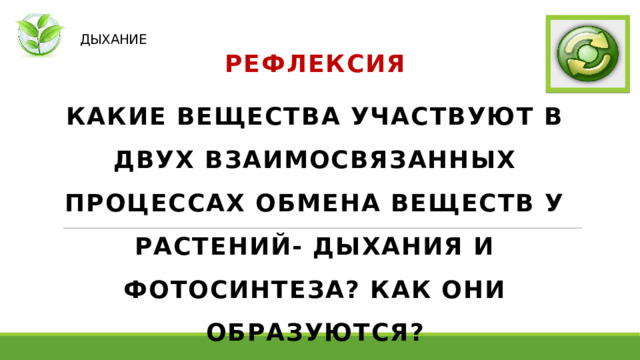   ДЫХАНИЕ РЕФЛЕКСИЯ КАКИЕ ВЕЩЕСТВА УЧАСТВУЮТ В ДВУХ ВЗАИМОСВЯЗАННЫХ ПРОЦЕССАХ ОБМЕНА ВЕЩЕСТВ У РАСТЕНИЙ- ДЫХАНИЯ И ФОТОСИНТЕЗА? КАК ОНИ ОБРАЗУЮТСЯ? 