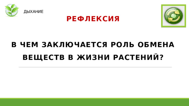   ДЫХАНИЕ РЕФЛЕКСИЯ  В ЧЕМ ЗАКЛЮЧАЕТСЯ РОЛЬ ОБМЕНА ВЕЩЕСТВ В ЖИЗНИ РАСТЕНИЙ? 