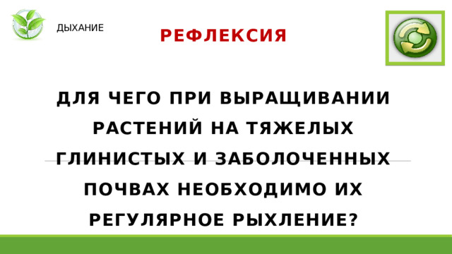   ДЫХАНИЕ РЕФЛЕКСИЯ  ДЛЯ ЧЕГО ПРИ ВЫРАЩИВАНИИ РАСТЕНИЙ НА ТЯЖЕЛЫХ ГЛИНИСТЫХ И ЗАБОЛОЧЕННЫХ ПОЧВАХ НЕОБХОДИМО ИХ РЕГУЛЯРНОЕ РЫХЛЕНИЕ? 