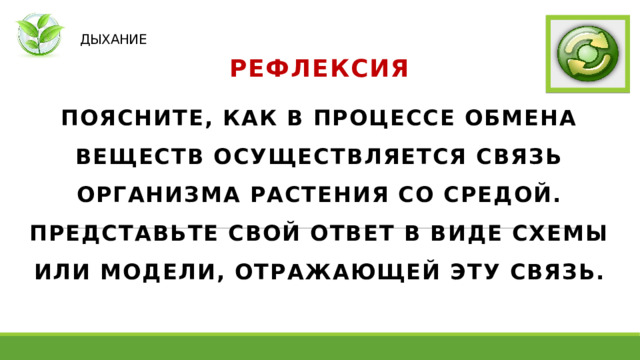   ДЫХАНИЕ РЕФЛЕКСИЯ ПОЯСНИТЕ, КАК В ПРОЦЕССЕ ОБМЕНА ВЕЩЕСТВ ОСУЩЕСТВЛЯЕТСЯ СВЯЗЬ ОРГАНИЗМА РАСТЕНИЯ СО СРЕДОЙ. ПРЕДСТАВЬТЕ СВОЙ ОТВЕТ В ВИДЕ СХЕМЫ ИЛИ МОДЕЛИ, ОТРАЖАЮЩЕЙ ЭТУ СВЯЗЬ. 
