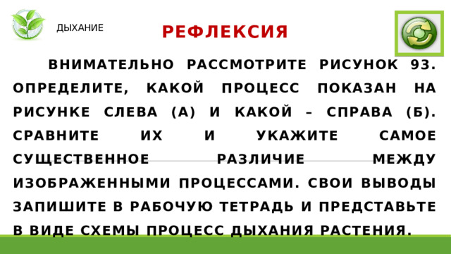   ДЫХАНИЕ РЕФЛЕКСИЯ  ВНИМАТЕЛЬНО РАССМОТРИТЕ РИСУНОК 93. ОПРЕДЕЛИТЕ, КАКОЙ ПРОЦЕСС ПОКАЗАН НА РИСУНКЕ СЛЕВА (А) И КАКОЙ – СПРАВА (Б). СРАВНИТЕ ИХ И УКАЖИТЕ САМОЕ СУЩЕСТВЕННОЕ РАЗЛИЧИЕ МЕЖДУ ИЗОБРАЖЕННЫМИ ПРОЦЕССАМИ. СВОИ ВЫВОДЫ ЗАПИШИТЕ В РАБОЧУЮ ТЕТРАДЬ И ПРЕДСТАВЬТЕ В ВИДЕ СХЕМЫ ПРОЦЕСС ДЫХАНИЯ РАСТЕНИЯ. 