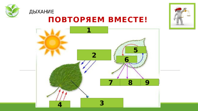   ДЫХАНИЕ ПОВТОРЯЕМ ВМЕСТЕ! 1 5 2 6 9 8 7 3 4 