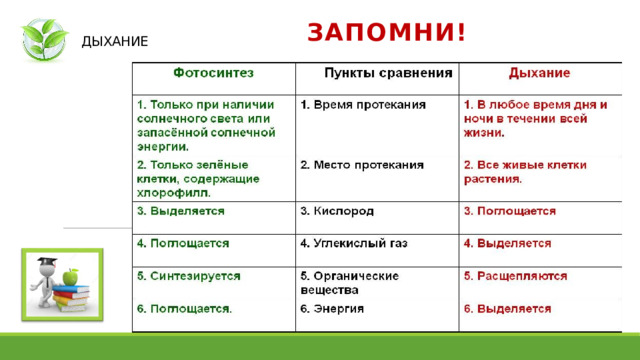  ДЫХАНИЕ ЗАПОМНИ! 