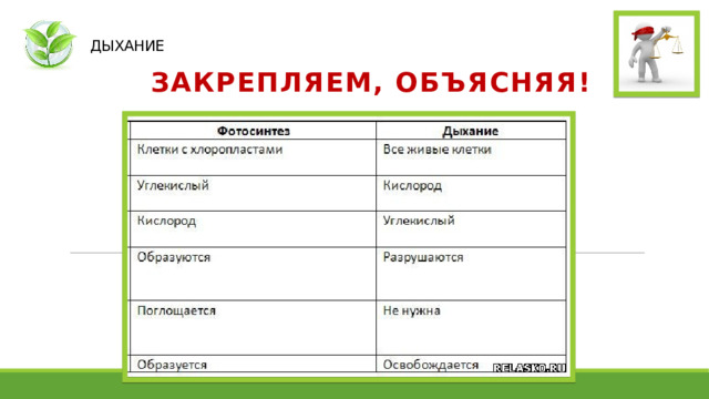  ДЫХАНИЕ ЗАКРЕПЛЯЕМ, ОБЪЯСНЯЯ! 