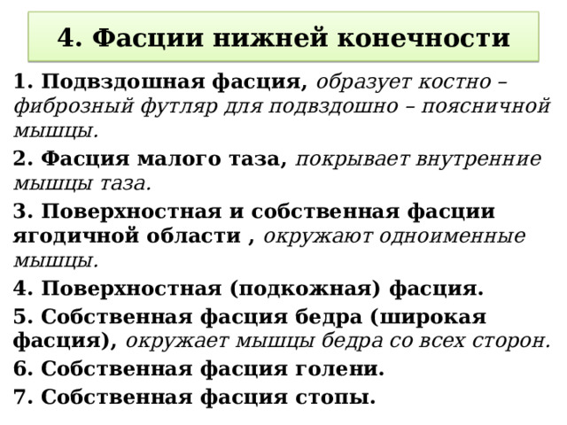 4. Фасции нижней конечности 1. Подвздошная фасция, образует костно – фиброзный футляр для подвздошно – поясничной мышцы.  2. Фасция малого таза, покрывает внутренние мышцы таза. 3. Поверхностная и собственная фасции ягодичной области , окружают одноименные мышцы. 4. Поверхностная (подкожная) фасция. 5. Собственная фасция бедра (широкая фасция), окружает мышцы бедра со всех сторон. 6. Собственная фасция голени. 7. Собственная фасция стопы. 