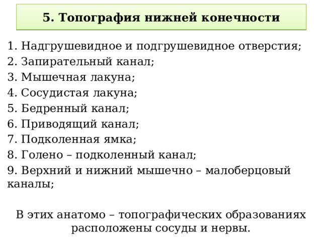 5. Топография нижней конечности 1. Надгрушевидное и подгрушевидное отверстия; 2. Запирательный канал; 3. Мышечная лакуна; 4. Сосудистая лакуна; 5. Бедренный канал; 6. Приводящий канал; 7. Подколенная ямка; 8. Голено – подколенный канал; 9. Верхний и нижний мышечно – малоберцовый каналы; В этих анатомо – топографических образованиях расположены сосуды и нервы. 