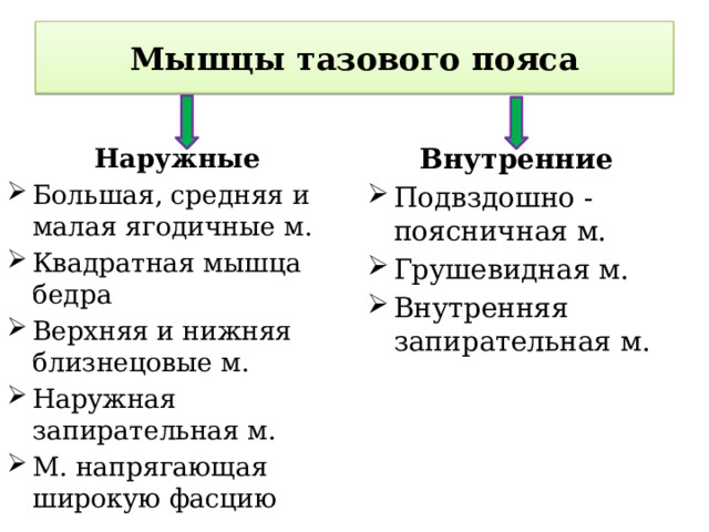 Мышцы тазового пояса Наружные Внутренние Большая, средняя и малая ягодичные м. Квадратная мышца бедра Верхняя и нижняя близнецовые м. Наружная запирательная м. М. напрягающая широкую фасцию Подвздошно - поясничная м. Грушевидная м. Внутренняя запирательная м. 