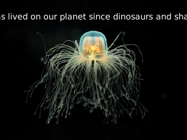 It has lived on our planet since dinosaurs and sharks. 