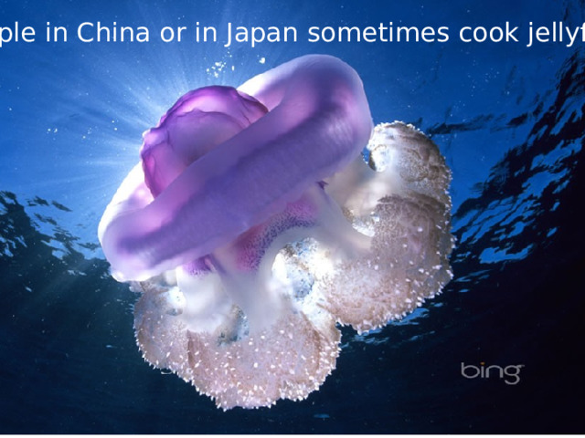 People in China or in Japan sometimes cook jellyfish. 