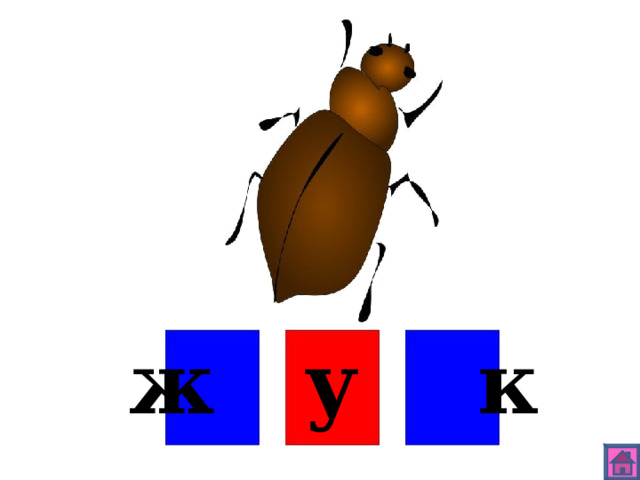 ж у к 