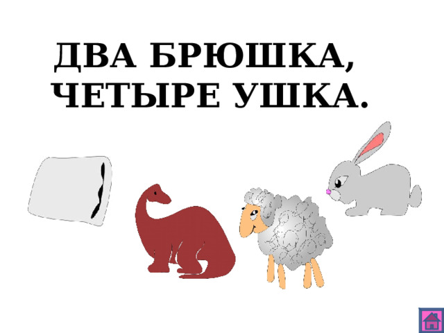 ДВА БРЮШКА, ЧЕТЫРЕ УШКА. 