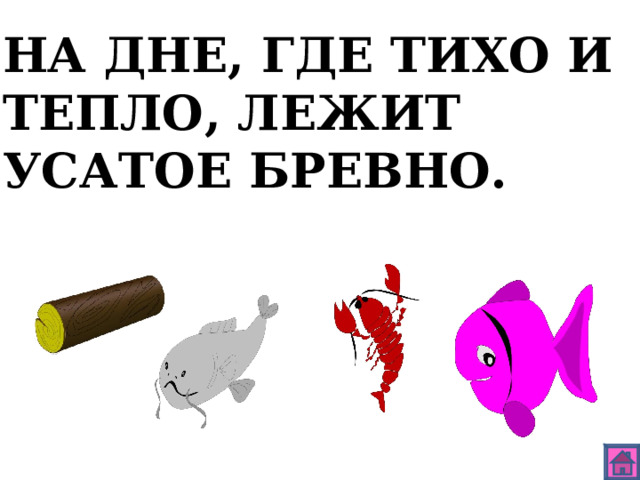 НА ДНЕ, ГДЕ ТИХО И ТЕПЛО, ЛЕЖИТ УСАТОЕ БРЕВНО.  