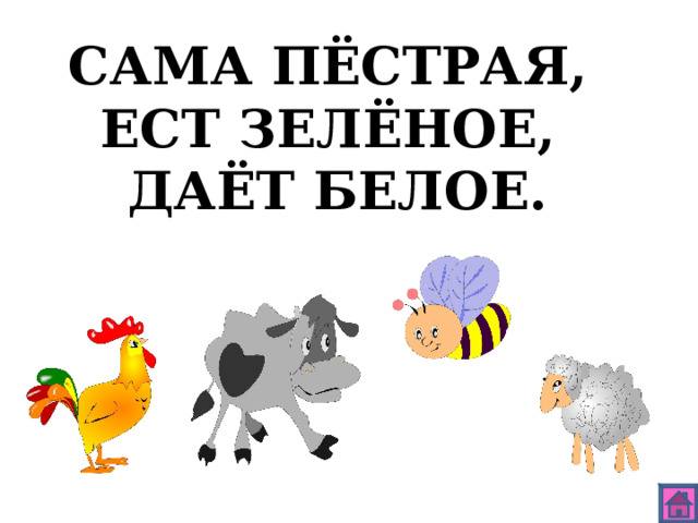 САМА ПЁСТРАЯ, ЕСТ ЗЕЛЁНОЕ, ДАЁТ БЕЛОЕ. 
