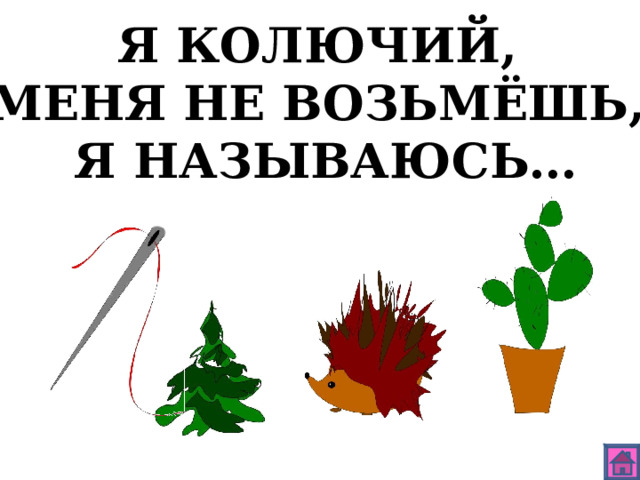 Я КОЛЮЧИЙ, МЕНЯ НЕ ВОЗЬМЁШЬ, Я НАЗЫВАЮСЬ… 