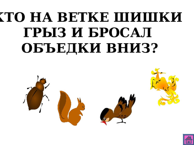 КТО НА ВЕТКЕ ШИШКИ ГРЫЗ И БРОСАЛ ОБЪЕДКИ ВНИЗ? 