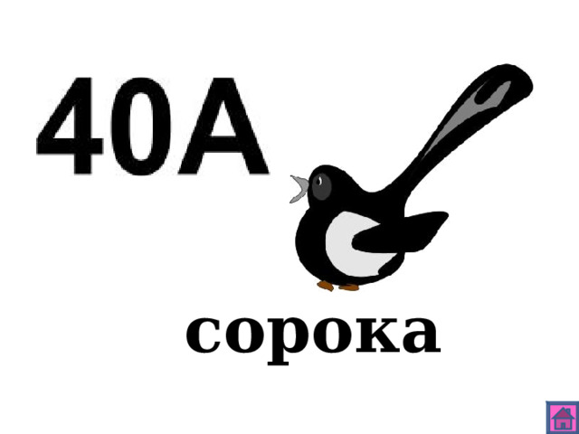 сорока 