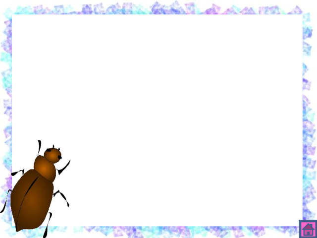 к ж у 