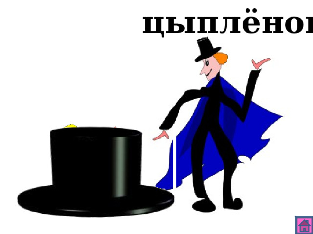 цыплёнок 