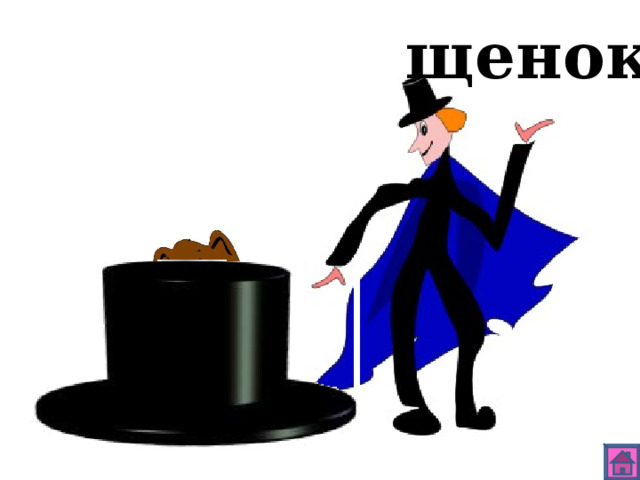 щенок 