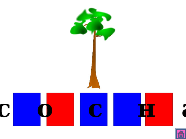 с о с н а 