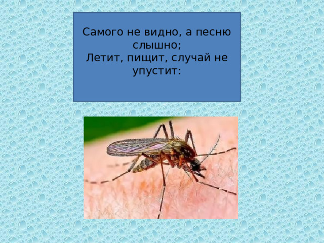 Самого не видно, а песню слышно;  Летит, пищит, случай не упустит:   