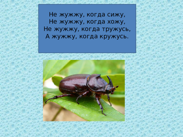 Не жужжу, когда сижу,  Не жужжу, когда хожу,  Не жужжу, когда тружусь,  А жужжу, когда кружусь.   