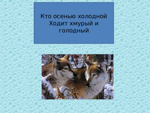 Кто осенью холодной  Ходит хмурый и голодный 