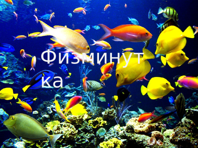 Физминутка 