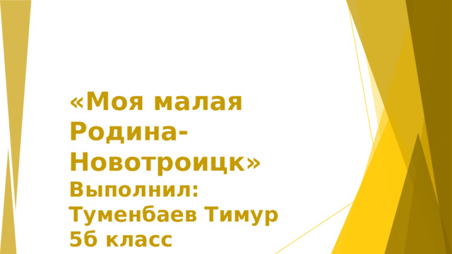«Моя малая Родина-  Новотроицк»  Выполнил:  Туменбаев Тимур  5б класс  Учитель: Жанабаева А.Т.    