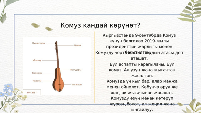 Комуз кандай көрүнөт? Кыргызстанда 9-сентябрда Комуз күнүн белгилөө 2019-жылы президенттин жарлыгы менен бекитилген. . Комузду чертме аспаптардын атасы деп аташат. Бул аспапты карагылачы. Бул комуз. Ал узун жана жыгачтан жасалган. Комузда үч кыл бар, алар манжа менен ойнолот. Көбүнчө өрүк же жаңгак жыгачынан жасалат. Комузду өзүң менен көтөрүп жүрсөң болот, ал жеңил жана ыңгайлуу. 