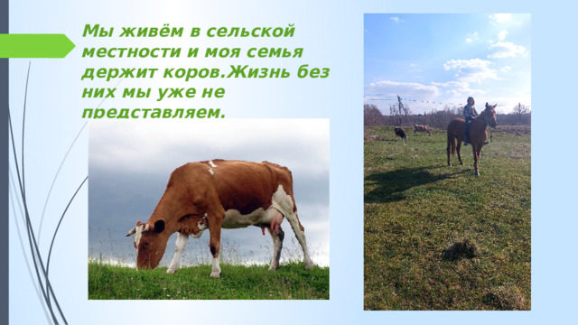 Мы живём в сельской местности и моя семья держит коров.Жизнь без них мы уже не представляем.  