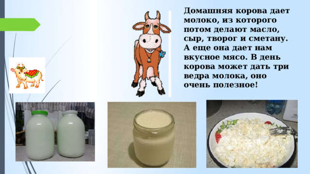 Домашняя корова дает молоко, из которого потом делают масло, сыр, творог и сметану. А еще она дает нам вкусное мясо. В день корова может дать три ведра молока, оно очень полезное! 