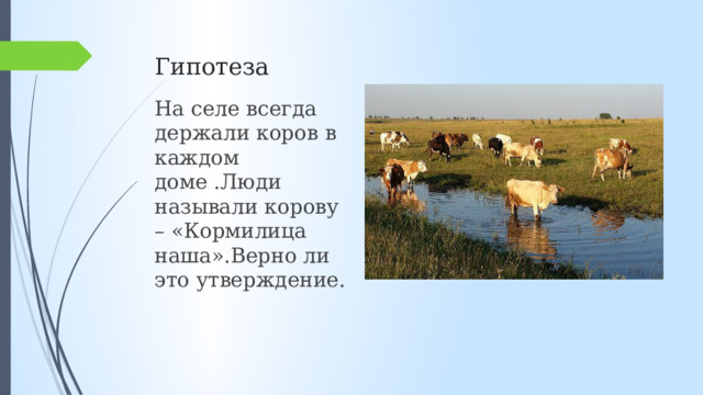 Гипотеза На селе всегда держали коров в каждом доме .Люди называли корову – «Кормилица наша».Верно ли это утверждение. 