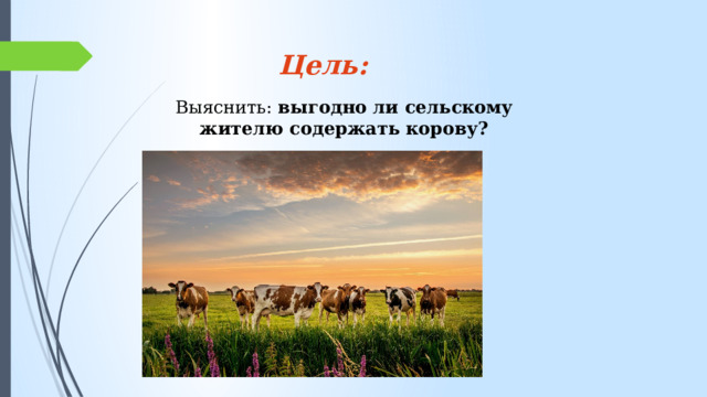 Цель: Выяснить: выгодно ли сельскому жителю содержать корову? 