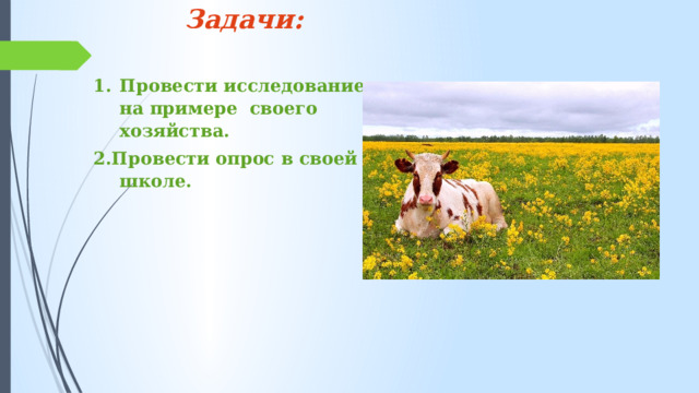 Задачи:   Провести исследование на примере своего хозяйства. 2.Провести опрос в своей школе. 