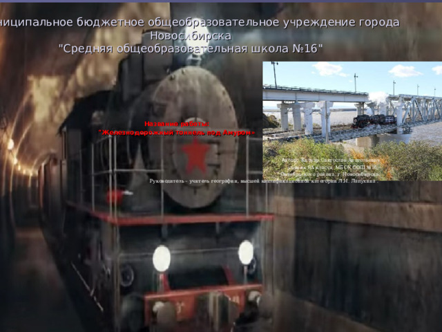   муниципальное бюджетное общеобразовательное учреждение города Новосибирска  