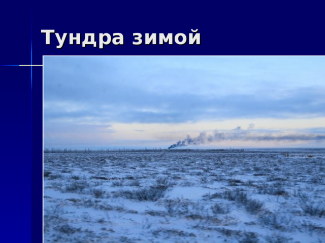 Тундра зимой 