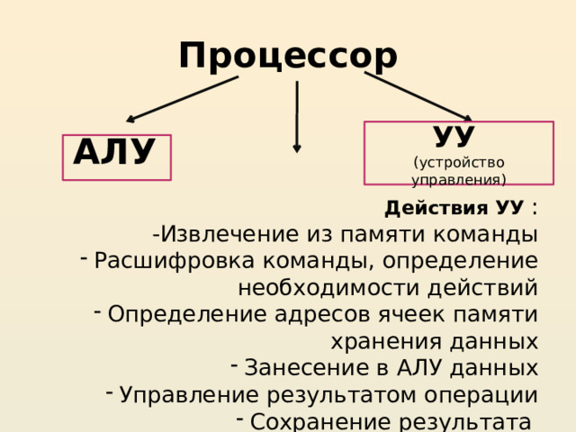 Процессор УУ (устройство управления) АЛУ   Действия УУ :  -Извлечение из памяти команды Расшифровка команды, определение необходимости действий Определение адресов ячеек памяти хранения данных Занесение в АЛУ данных Управление результатом операции Сохранение результата  