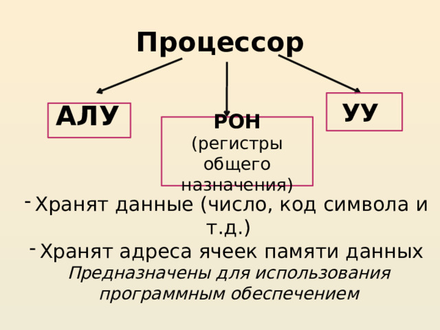 Процессор УУ АЛУ  РОН (регистры общего назначения) Хранят данные (число, код символа и т.д.) Хранят адреса ячеек памяти данных Предназначены для использования программным обеспечением 