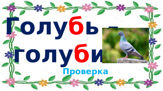  Голу б ь –  голу б и Проверка 